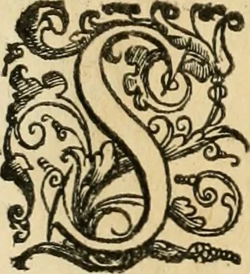 An illustration from Le fortificationi di Buonaiuto Lorini, nobile fiorentino ... : con l'aggiunta del sesto libro doue si mostra, con la scienza e con la pratica, l'ordine di fortificare le città & altri luoghi, con tutti gli auuertimenti, che più possono apportar benficio per la sicurtà delle fortezze .., 1609, leaf 229