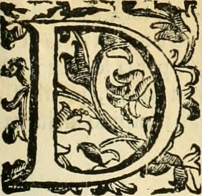 An illustration from Le fortificationi di Buonaiuto Lorini, nobile fiorentino ... : con l'aggiunta del sesto libro doue si mostra, con la scienza e con la pratica, l'ordine di fortificare le città & altri luoghi, con tutti gli auuertimenti, che più possono apportar benficio per la sicurtà delle fortezze .., 1609, leaf 232