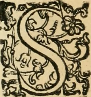 An illustration from Le fortificationi di Buonaiuto Lorini, nobile fiorentino ... : con l'aggiunta del sesto libro doue si mostra, con la scienza e con la pratica, l'ordine di fortificare le città & altri luoghi, con tutti gli auuertimenti, che più possono apportar benficio per la sicurtà delle fortezze .., 1609, leaf 235
