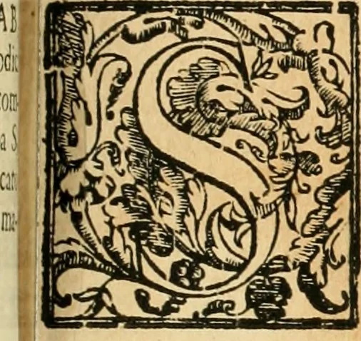 An illustration from Le fortificationi di Buonaiuto Lorini, nobile fiorentino ... : con l'aggiunta del sesto libro doue si mostra, con la scienza e con la pratica, l'ordine di fortificare le città & altri luoghi, con tutti gli auuertimenti, che più possono apportar benficio per la sicurtà delle fortezze .., 1609, leaf 240