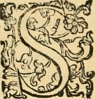 An illustration from Le fortificationi di Buonaiuto Lorini, nobile fiorentino ... : con l'aggiunta del sesto libro doue si mostra, con la scienza e con la pratica, l'ordine di fortificare le città & altri luoghi, con tutti gli auuertimenti, che più possono apportar benficio per la sicurtà delle fortezze .., 1609, leaf 242