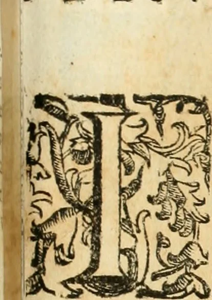 An illustration from Le fortificationi di Buonaiuto Lorini, nobile fiorentino ... : con l'aggiunta del sesto libro doue si mostra, con la scienza e con la pratica, l'ordine di fortificare le città & altri luoghi, con tutti gli auuertimenti, che più possono apportar benficio per la sicurtà delle fortezze .., 1609, leaf 244
