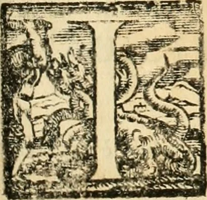 An illustration from Le fortificationi di Buonaiuto Lorini, nobile fiorentino ... : con l'aggiunta del sesto libro doue si mostra, con la scienza e con la pratica, l'ordine di fortificare le città & altri luoghi, con tutti gli auuertimenti, che più possono apportar benficio per la sicurtà delle fortezze .., 1609, leaf 248