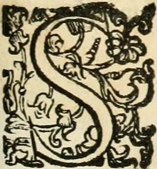 An illustration from Le fortificationi di Buonaiuto Lorini, nobile fiorentino ... : con l'aggiunta del sesto libro doue si mostra, con la scienza e con la pratica, l'ordine di fortificare le città & altri luoghi, con tutti gli auuertimenti, che più possono apportar benficio per la sicurtà delle fortezze .., 1609, leaf 254