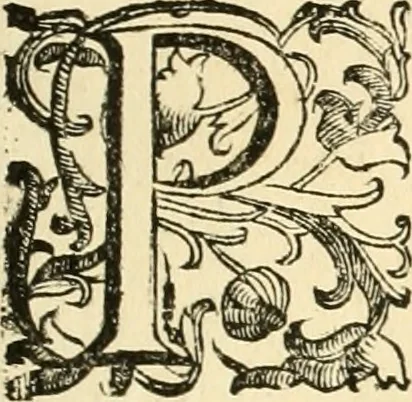 An illustration from Le fortificationi di Buonaiuto Lorini, nobile fiorentino ... : con l'aggiunta del sesto libro doue si mostra, con la scienza e con la pratica, l'ordine di fortificare le città & altri luoghi, con tutti gli auuertimenti, che più possono apportar benficio per la sicurtà delle fortezze .., 1609, leaf 262