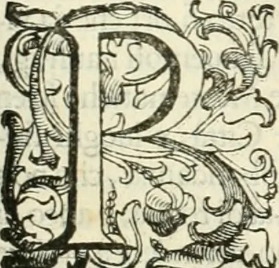 An illustration from Le fortificationi di Buonaiuto Lorini, nobile fiorentino ... : con l'aggiunta del sesto libro doue si mostra, con la scienza e con la pratica, l'ordine di fortificare le città & altri luoghi, con tutti gli auuertimenti, che più possono apportar benficio per la sicurtà delle fortezze .., 1609, leaf 264