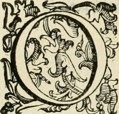 An illustration from Le fortificationi di Buonaiuto Lorini, nobile fiorentino ... : con l'aggiunta del sesto libro doue si mostra, con la scienza e con la pratica, l'ordine di fortificare le città & altri luoghi, con tutti gli auuertimenti, che più possono apportar benficio per la sicurtà delle fortezze .., 1609, leaf 265