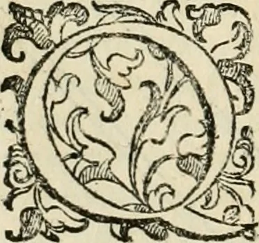 An illustration from Le fortificationi di Buonaiuto Lorini, nobile fiorentino ... : con l'aggiunta del sesto libro doue si mostra, con la scienza e con la pratica, l'ordine di fortificare le città & altri luoghi, con tutti gli auuertimenti, che più possono apportar benficio per la sicurtà delle fortezze .., 1609, leaf 285