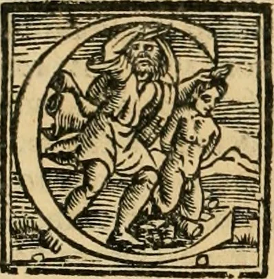 An illustration from Le fortificationi di Buonaiuto Lorini, nobile fiorentino ... : con l'aggiunta del sesto libro doue si mostra, con la scienza e con la pratica, l'ordine di fortificare le città & altri luoghi, con tutti gli auuertimenti, che più possono apportar benficio per la sicurtà delle fortezze .., 1609, leaf 297