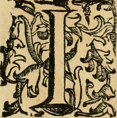 An illustration from Le fortificationi di Buonaiuto Lorini, nobile fiorentino ... : con l'aggiunta del sesto libro doue si mostra, con la scienza e con la pratica, l'ordine di fortificare le città & altri luoghi, con tutti gli auuertimenti, che più possono apportar benficio per la sicurtà delle fortezze .., 1609, leaf 299