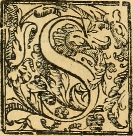 An illustration from Le fortificationi di Buonaiuto Lorini, nobile fiorentino ... : con l'aggiunta del sesto libro doue si mostra, con la scienza e con la pratica, l'ordine di fortificare le città & altri luoghi, con tutti gli auuertimenti, che più possono apportar benficio per la sicurtà delle fortezze .., 1609, leaf 302