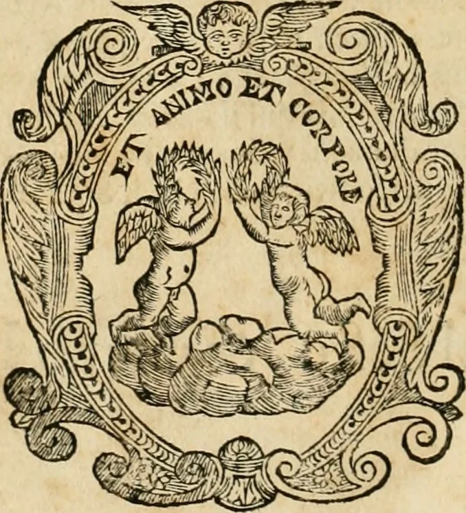 An illustration from Le fortificationi di Buonaiuto Lorini, nobile fiorentino ... : con l'aggiunta del sesto libro doue si mostra, con la scienza e con la pratica, l'ordine di fortificare le città & altri luoghi, con tutti gli auuertimenti, che più possono apportar benficio per la sicurtà delle fortezze .., 1609, leaf 315