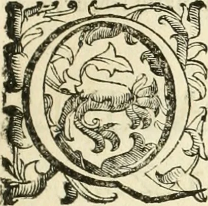 An illustration from Le fortificationi di Buonaiuto Lorini, nobile fiorentino ... : con l'aggiunta del sesto libro doue si mostra, con la scienza e con la pratica, l'ordine di fortificare le città & altri luoghi, con tutti gli auuertimenti, che più possono apportar benficio per la sicurtà delle fortezze .., 1609, leaf 32