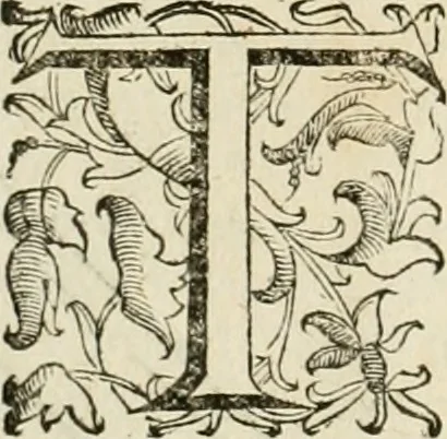 An illustration from Le fortificationi di Buonaiuto Lorini, nobile fiorentino ... : con l'aggiunta del sesto libro doue si mostra, con la scienza e con la pratica, l'ordine di fortificare le città & altri luoghi, con tutti gli auuertimenti, che più possono apportar benficio per la sicurtà delle fortezze .., 1609, leaf 39