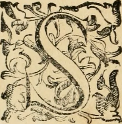 An illustration from Le fortificationi di Buonaiuto Lorini, nobile fiorentino ... : con l'aggiunta del sesto libro doue si mostra, con la scienza e con la pratica, l'ordine di fortificare le città & altri luoghi, con tutti gli auuertimenti, che più possono apportar benficio per la sicurtà delle fortezze .., 1609, leaf 43