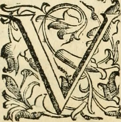 An illustration from Le fortificationi di Buonaiuto Lorini, nobile fiorentino ... : con l'aggiunta del sesto libro doue si mostra, con la scienza e con la pratica, l'ordine di fortificare le città & altri luoghi, con tutti gli auuertimenti, che più possono apportar benficio per la sicurtà delle fortezze .., 1609, leaf 52