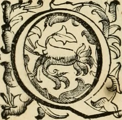 An illustration from Le fortificationi di Buonaiuto Lorini, nobile fiorentino ... : con l'aggiunta del sesto libro doue si mostra, con la scienza e con la pratica, l'ordine di fortificare le città & altri luoghi, con tutti gli auuertimenti, che più possono apportar benficio per la sicurtà delle fortezze .., 1609, leaf 67