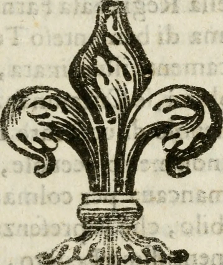 An illustration from Le gare d'Amore, e di Marte, festa d'armi, e di ballo : rappresentata in Palazzo il Carnouale del 1662 ; alla presenza dell' Eminentiss. e Reuerendiss. Sig. Card. Farnese, legato di Bologna, 1663, leaf 8
