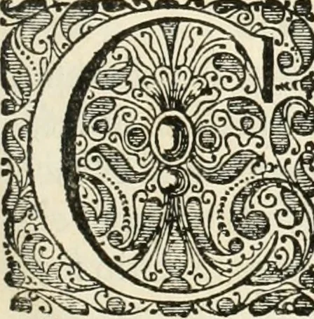 An illustration from Legatio batavica ad magnum Tartariæ chamum Sungteium, modernum Sinæ imperatorem. Historiarum narratione, quæ legatis in provinciis Quantung, Kiangsi, Nanking, Xantung, Peking, & aula imperatoriâ ab anno 1665 ad annum 1657 obtigerunt, ut & ardua Sinensium in bello tartarico fortunâ, provinciarum accurata geographia, urbium delineatione, nec non artis & naturæ miraculis ex animalium, vegetabilium, mineralium genere per centum & quinquaginta æneas figuras passim illustrata & conscripta vernacule, 1668, leaf 10