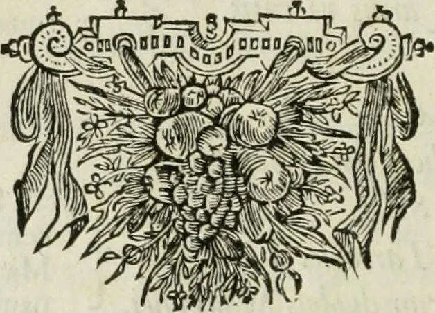 An illustration from Legatio batavica ad magnum Tartariæ chamum Sungteium, modernum Sinæ imperatorem. Historiarum narratione, quæ legatis in provinciis Quantung, Kiangsi, Nanking, Xantung, Peking, & aula imperatoriâ ab anno 1665 ad annum 1657 obtigerunt, ut & ardua Sinensium in bello tartarico fortunâ, provinciarum accurata geographia, urbium delineatione, nec non artis & naturæ miraculis ex animalium, vegetabilium, mineralium genere per centum & quinquaginta æneas figuras passim illustrata & conscripta vernacule, 1668, leaf 239