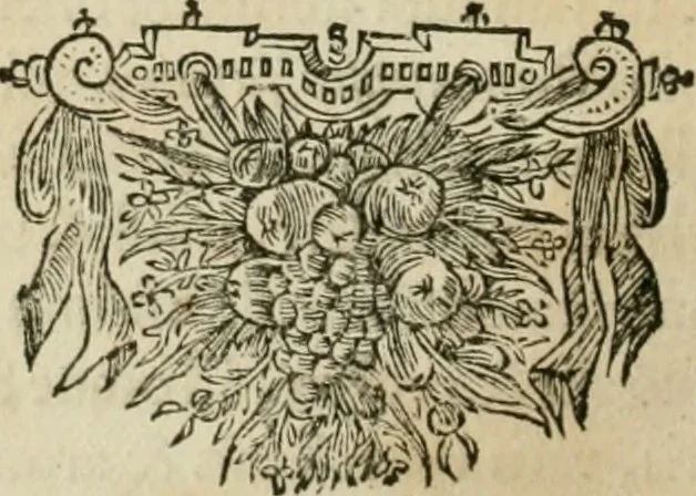 An illustration from Legatio batavica ad magnum Tartariæ chamum Sungteium, modernum Sinæ imperatorem. Historiarum narratione, quæ legatis in provinciis Quantung, Kiangsi, Nanking, Xantung, Peking, & aula imperatoriâ ab anno 1665 ad annum 1657 obtigerunt, ut & ardua Sinensium in bello tartarico fortunâ, provinciarum accurata geographia, urbium delineatione, nec non artis & naturæ miraculis ex animalium, vegetabilium, mineralium genere per centum & quinquaginta æneas figuras passim illustrata & conscripta vernacule, 1668, leaf 263