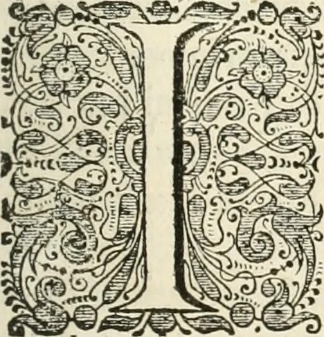 An illustration from Legatio batavica ad magnum Tartariæ chamum Sungteium, modernum Sinæ imperatorem. Historiarum narratione, quæ legatis in provinciis Quantung, Kiangsi, Nanking, Xantung, Peking, & aula imperatoriâ ab anno 1665 ad annum 1657 obtigerunt, ut & ardua Sinensium in bello tartarico fortunâ, provinciarum accurata geographia, urbium delineatione, nec non artis & naturæ miraculis ex animalium, vegetabilium, mineralium genere per centum & quinquaginta æneas figuras passim illustrata & conscripta vernacule, 1668, leaf 264