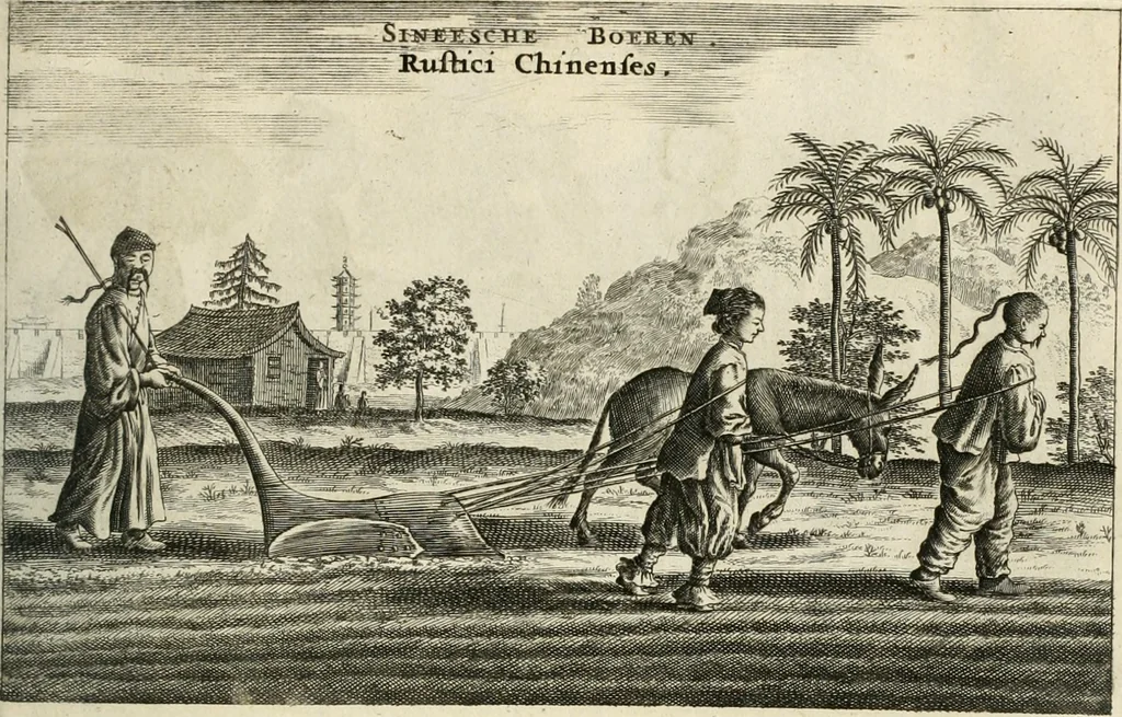 An illustration from Legatio batavica ad magnum Tartariæ chamum Sungteium, modernum Sinæ imperatorem. Historiarum narratione, quæ legatis in provinciis Quantung, Kiangsi, Nanking, Xantung, Peking, & aula imperatoriâ ab anno 1665 ad annum 1657 obtigerunt, ut & ardua Sinensium in bello tartarico fortunâ, provinciarum accurata geographia, urbium delineatione, nec non artis & naturæ miraculis ex animalium, vegetabilium, mineralium genere per centum & quinquaginta æneas figuras passim illustrata & conscripta vernacule, 1668, leaf 304