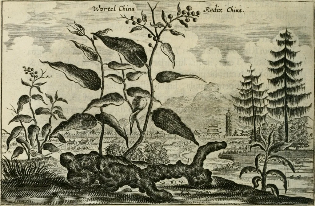 An illustration from Legatio batavica ad magnum Tartariæ chamum Sungteium, modernum Sinæ imperatorem. Historiarum narratione, quæ legatis in provinciis Quantung, Kiangsi, Nanking, Xantung, Peking, & aula imperatoriâ ab anno 1665 ad annum 1657 obtigerunt, ut & ardua Sinensium in bello tartarico fortunâ, provinciarum accurata geographia, urbium delineatione, nec non artis & naturæ miraculis ex animalium, vegetabilium, mineralium genere per centum & quinquaginta æneas figuras passim illustrata & conscripta vernacule, 1668, leaf 345