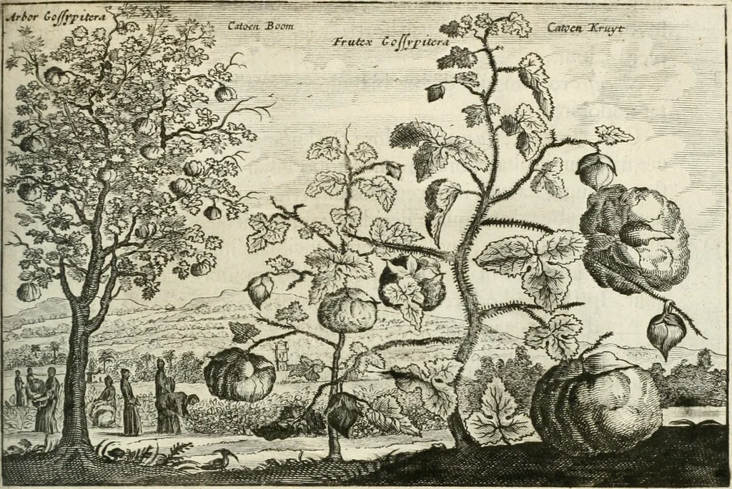 An illustration from Legatio batavica ad magnum Tartariæ chamum Sungteium, modernum Sinæ imperatorem. Historiarum narratione, quæ legatis in provinciis Quantung, Kiangsi, Nanking, Xantung, Peking, & aula imperatoriâ ab anno 1665 ad annum 1657 obtigerunt, ut & ardua Sinensium in bello tartarico fortunâ, provinciarum accurata geographia, urbium delineatione, nec non artis & naturæ miraculis ex animalium, vegetabilium, mineralium genere per centum & quinquaginta æneas figuras passim illustrata & conscripta vernacule, 1668, leaf 350