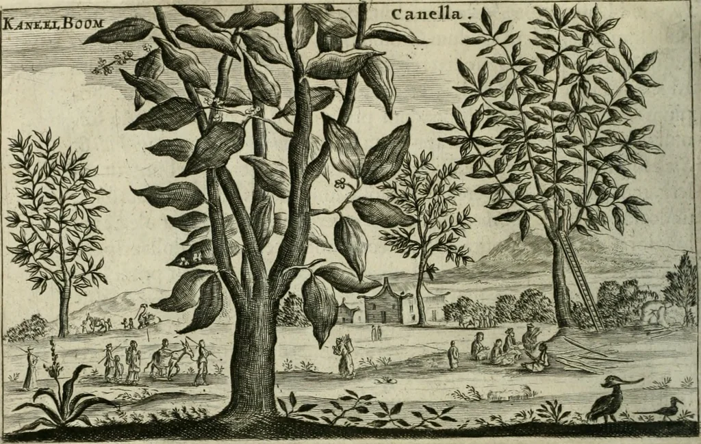 An illustration from Legatio batavica ad magnum Tartariæ chamum Sungteium, modernum Sinæ imperatorem. Historiarum narratione, quæ legatis in provinciis Quantung, Kiangsi, Nanking, Xantung, Peking, & aula imperatoriâ ab anno 1665 ad annum 1657 obtigerunt, ut & ardua Sinensium in bello tartarico fortunâ, provinciarum accurata geographia, urbium delineatione, nec non artis & naturæ miraculis ex animalium, vegetabilium, mineralium genere per centum & quinquaginta æneas figuras passim illustrata & conscripta vernacule, 1668, leaf 355