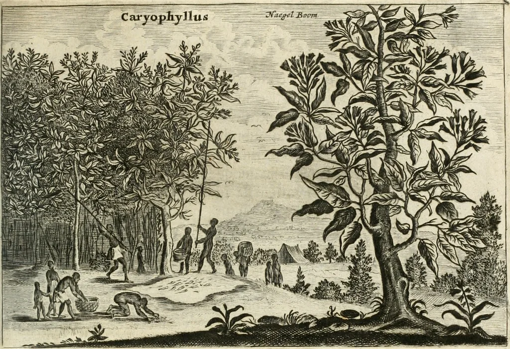 An illustration from Legatio batavica ad magnum Tartariæ chamum Sungteium, modernum Sinæ imperatorem. Historiarum narratione, quæ legatis in provinciis Quantung, Kiangsi, Nanking, Xantung, Peking, & aula imperatoriâ ab anno 1665 ad annum 1657 obtigerunt, ut & ardua Sinensium in bello tartarico fortunâ, provinciarum accurata geographia, urbium delineatione, nec non artis & naturæ miraculis ex animalium, vegetabilium, mineralium genere per centum & quinquaginta æneas figuras passim illustrata & conscripta vernacule, 1668, leaf 356