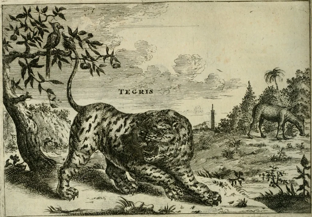 An illustration from Legatio batavica ad magnum Tartariæ chamum Sungteium, modernum Sinæ imperatorem. Historiarum narratione, quæ legatis in provinciis Quantung, Kiangsi, Nanking, Xantung, Peking, & aula imperatoriâ ab anno 1665 ad annum 1657 obtigerunt, ut & ardua Sinensium in bello tartarico fortunâ, provinciarum accurata geographia, urbium delineatione, nec non artis & naturæ miraculis ex animalium, vegetabilium, mineralium genere per centum & quinquaginta æneas figuras passim illustrata & conscripta vernacule, 1668, leaf 375