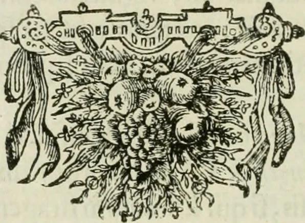 An illustration from Legatio batavica ad magnum Tartariæ chamum Sungteium, modernum Sinæ imperatorem. Historiarum narratione, quæ legatis in provinciis Quantung, Kiangsi, Nanking, Xantung, Peking, & aula imperatoriâ ab anno 1665 ad annum 1657 obtigerunt, ut & ardua Sinensium in bello tartarico fortunâ, provinciarum accurata geographia, urbium delineatione, nec non artis & naturæ miraculis ex animalium, vegetabilium, mineralium genere per centum & quinquaginta æneas figuras passim illustrata & conscripta vernacule, 1668, leaf 435