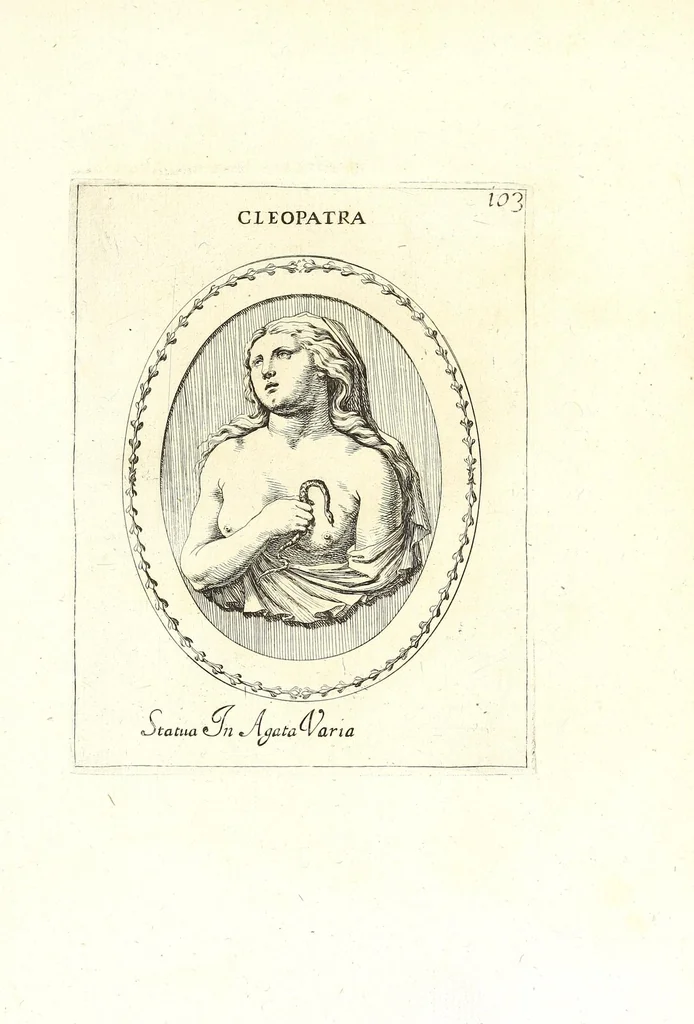 An illustration from Le gemme antiche figurate, 1686, leaf 263