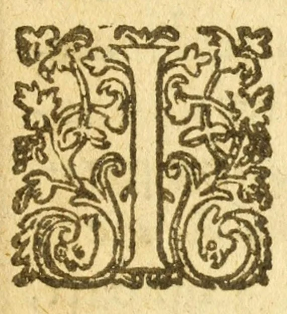 An illustration from Legende doree, ou, Sommaire de l'histoire des freres Mendians dans l'Ordre de Dominique, & de Francʹois : comprenant briefuement & veritablement l'origine, le progrez, la doctrine & les combats d'iceux : tant contre l'eglise gallicane principalement, que cotre les papes & entr'eux mesmes depuis quatre cens ans, 1608, leaf 145
