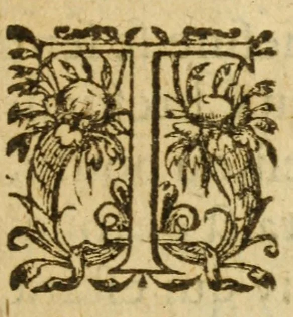 An illustration from Legende doree, ou, Sommaire de l'histoire des freres Mendians dans l'Ordre de Dominique, & de Francʹois : comprenant briefuement & veritablement l'origine, le progrez, la doctrine & les combats d'iceux : tant contre l'eglise gallicane principalement, que cotre les papes & entr'eux mesmes depuis quatre cens ans, 1608, leaf 41
