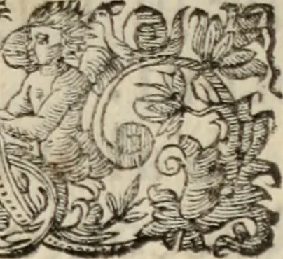 An illustration from Le glorie de gli incogniti : O vero gli hvomini illvstri della̓ccademia de ̓signori incogniti di venetia, 1647, leaf 10