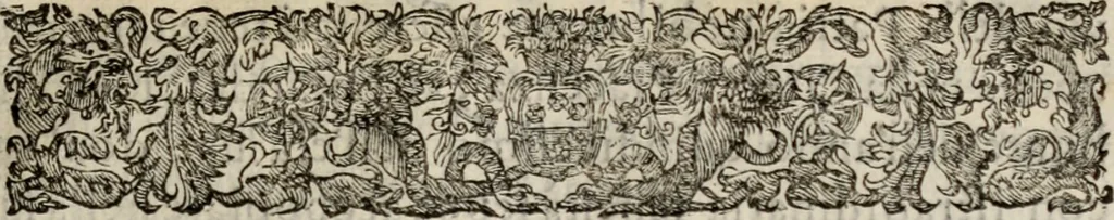 An illustration from Le glorie de gli incogniti : O vero gli hvomini illvstri della̓ccademia de ̓signori incogniti di venetia, 1647, leaf 104