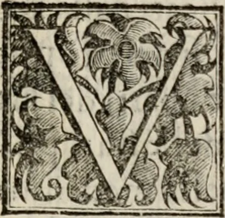 An illustration from Le glorie de gli incogniti : O vero gli hvomini illvstri della̓ccademia de ̓signori incogniti di venetia, 1647, leaf 104