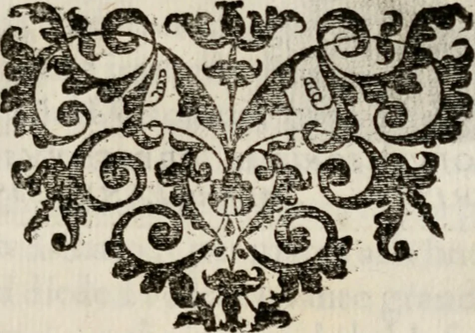 An illustration from Le glorie de gli incogniti : O vero gli hvomini illvstri della̓ccademia de ̓signori incogniti di venetia, 1647, leaf 110