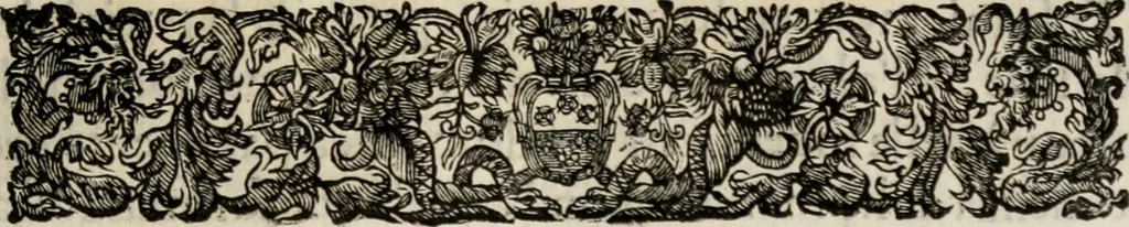 An illustration from Le glorie de gli incogniti : O vero gli hvomini illvstri della̓ccademia de ̓signori incogniti di venetia, 1647, leaf 112