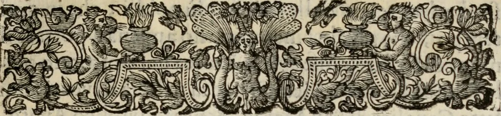 An illustration from Le glorie de gli incogniti : O vero gli hvomini illvstri della̓ccademia de ̓signori incogniti di venetia, 1647, leaf 116