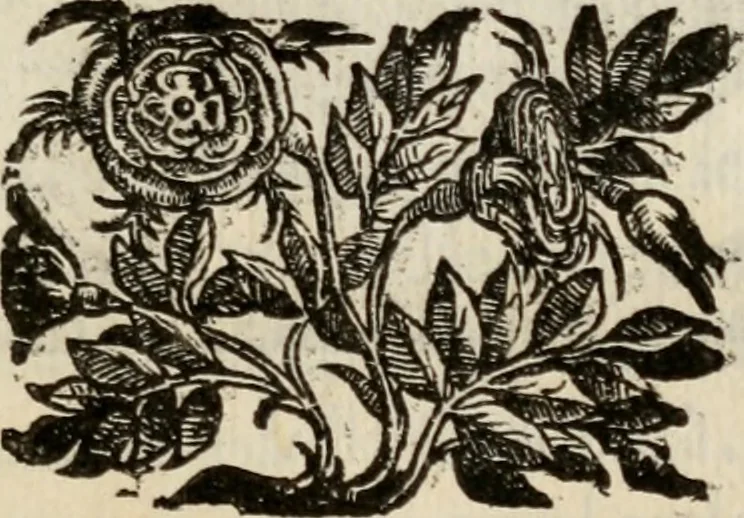 An illustration from Le glorie de gli incogniti : O vero gli hvomini illvstri della̓ccademia de ̓signori incogniti di venetia, 1647, leaf 118