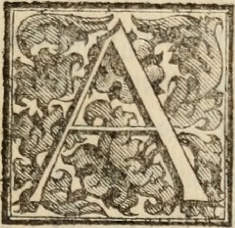An illustration from Le glorie de gli incogniti : O vero gli hvomini illvstri della̓ccademia de ̓signori incogniti di venetia, 1647, leaf 12
