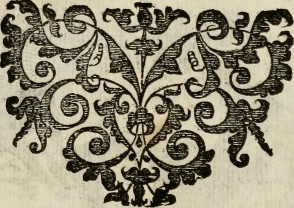 An illustration from Le glorie de gli incogniti : O vero gli hvomini illvstri della̓ccademia de ̓signori incogniti di venetia, 1647, leaf 122