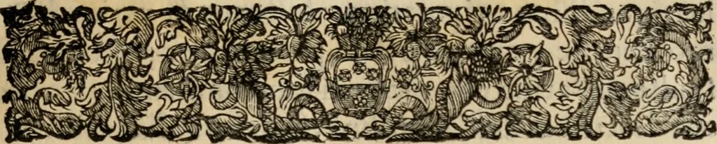 An illustration from Le glorie de gli incogniti : O vero gli hvomini illvstri della̓ccademia de ̓signori incogniti di venetia, 1647, leaf 128