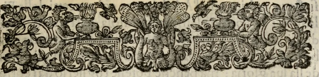 An illustration from Le glorie de gli incogniti : O vero gli hvomini illvstri della̓ccademia de ̓signori incogniti di venetia, 1647, leaf 132