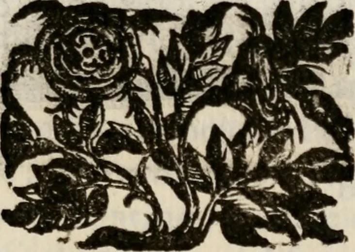 An illustration from Le glorie de gli incogniti : O vero gli hvomini illvstri della̓ccademia de ̓signori incogniti di venetia, 1647, leaf 138