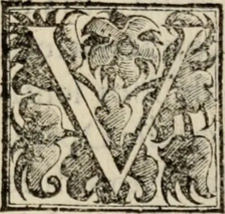 An illustration from Le glorie de gli incogniti : O vero gli hvomini illvstri della̓ccademia de ̓signori incogniti di venetia, 1647, leaf 144