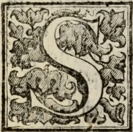 An illustration from Le glorie de gli incogniti : O vero gli hvomini illvstri della̓ccademia de ̓signori incogniti di venetia, 1647, leaf 160